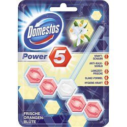 Domestos Power 5+ WC Stein Frische Orangenblüte